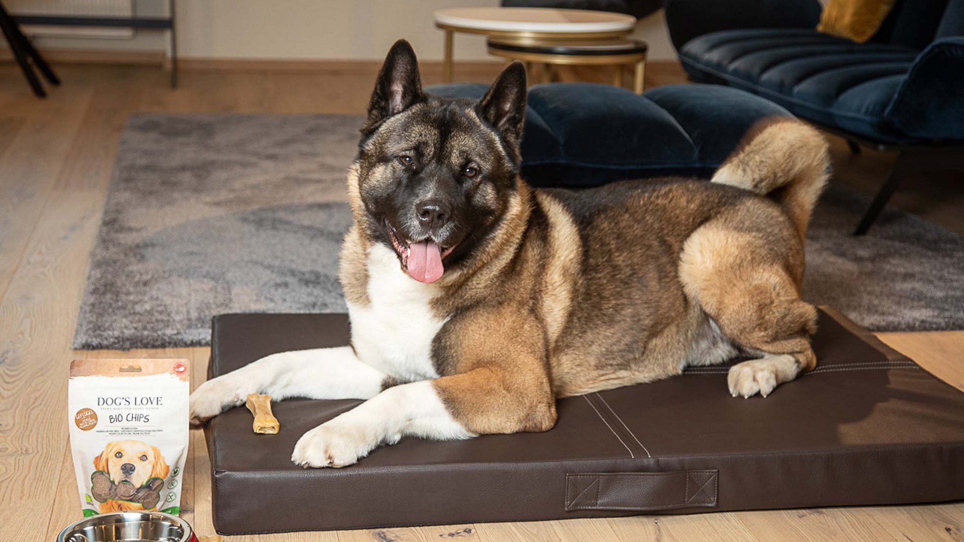 Hotel Böhlerstern: Hundehotel in der Steiermark