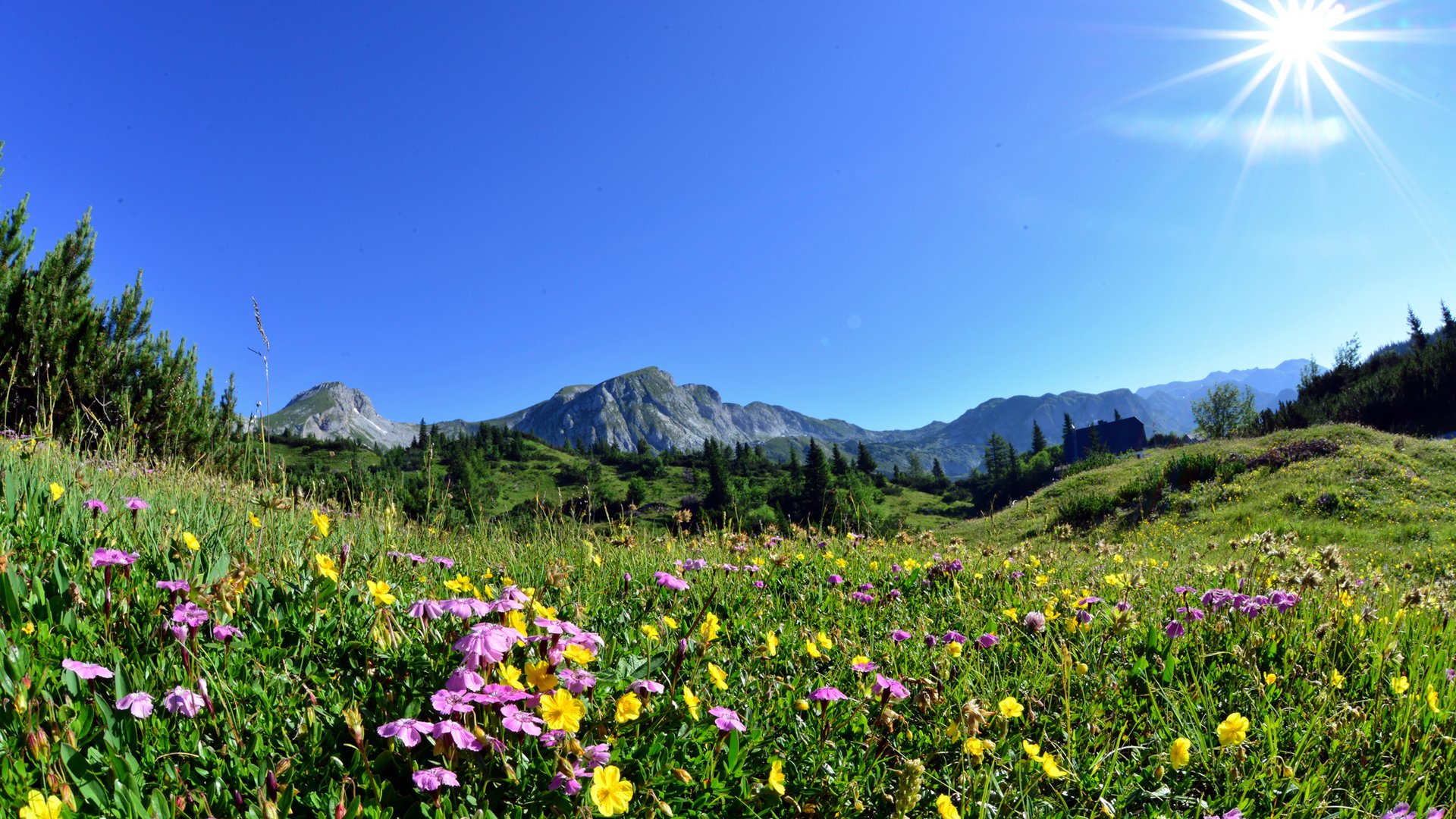 Ihr Urlaub in der Steiermark